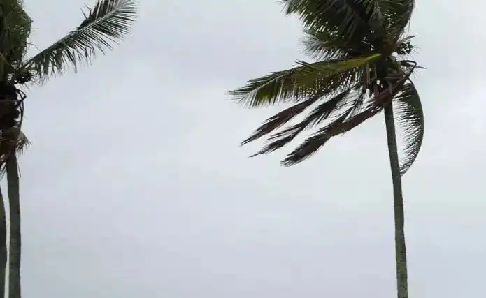 Foto: Tânia Rêgo/Agência Brasil