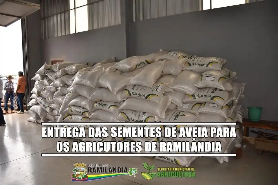 Distribuição das sementes de aveia para os agricultores
