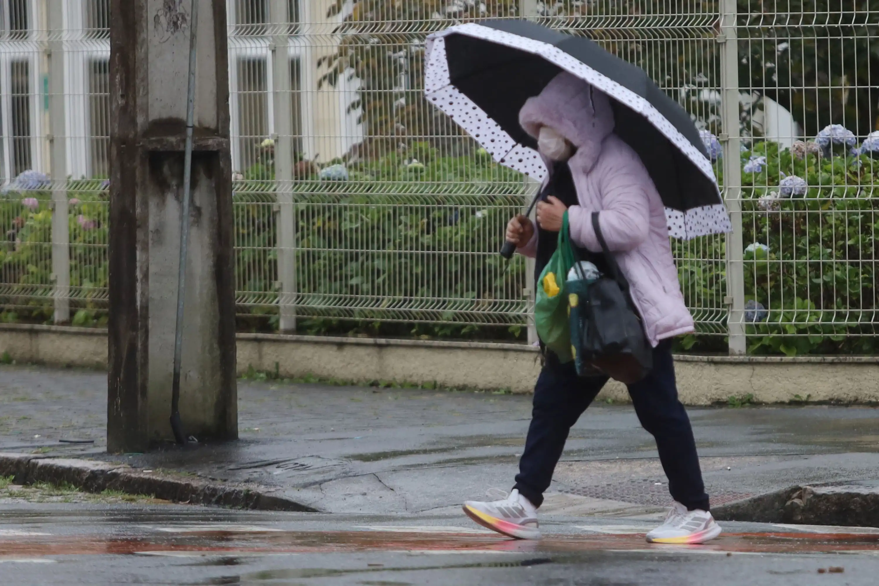 Primeira semana de junho tem chuva moderada em todo o Paraná Foto: Alessandro Vieira/SESA-PR