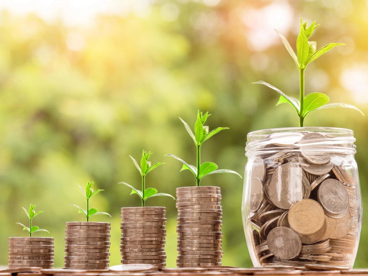 Seguro rural: FPA tentará reforço de mais R$ 1 bi para o auxílio financeiro