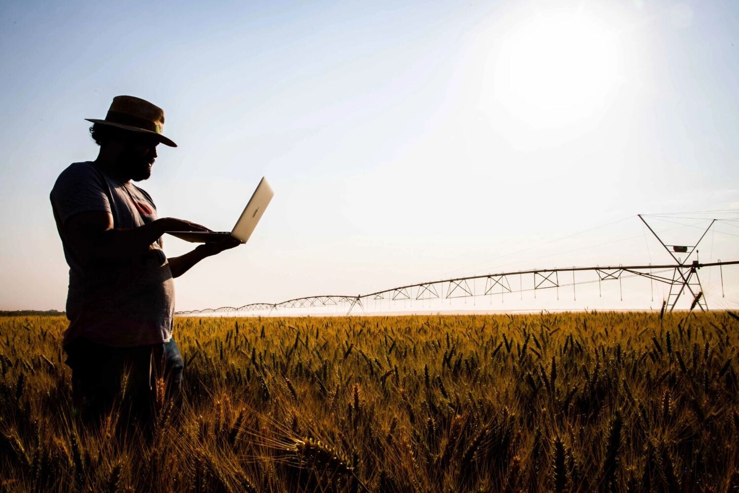 Dia Mundial da Agricultura: boas práticas geram sustentabilidade e oportunidades