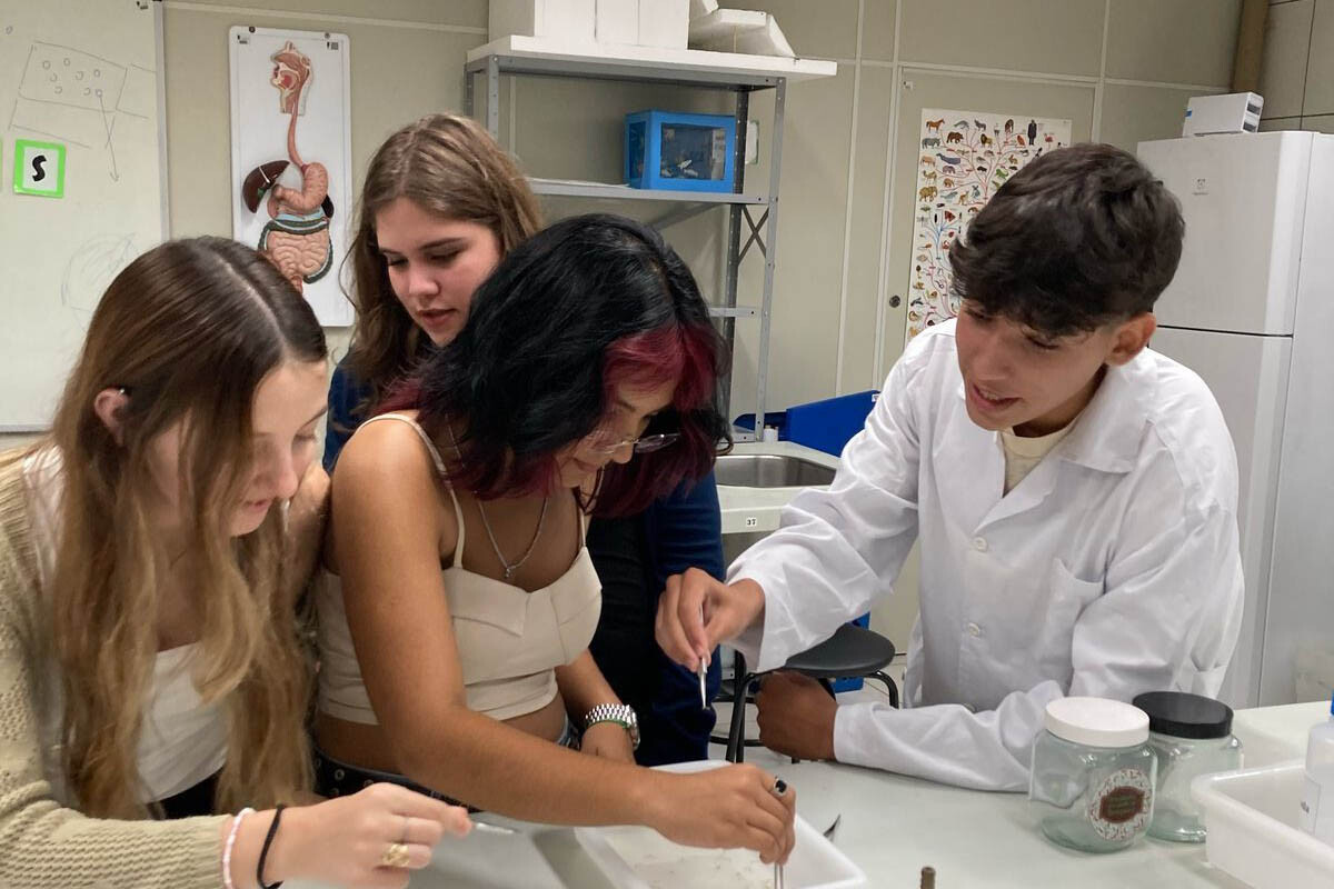 IAT promove ações de educação ambiental para estudantes em Foz do Iguaçu