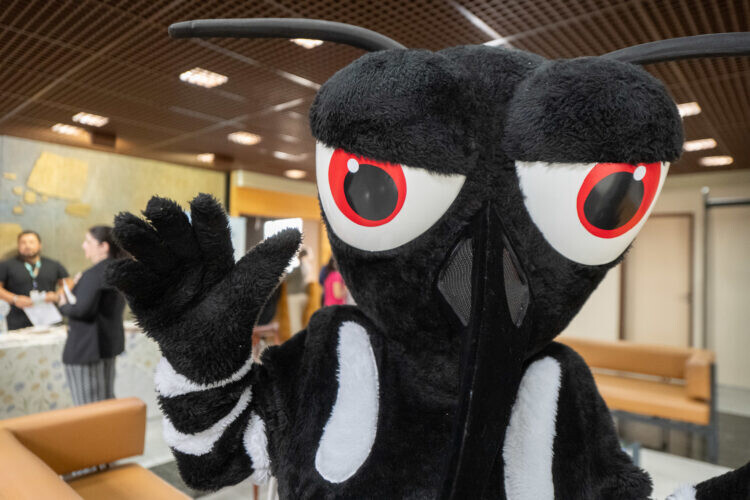 Sesc PR lança campanha virtual de prevenção à dengue nesta quarta-feira (12)
