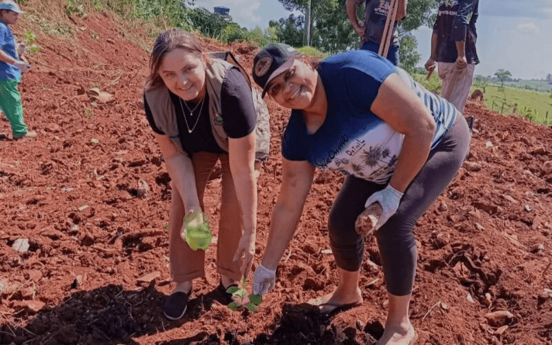 Mais de 300 mudas de árvores são plantadas em mutirão pelo dia da água