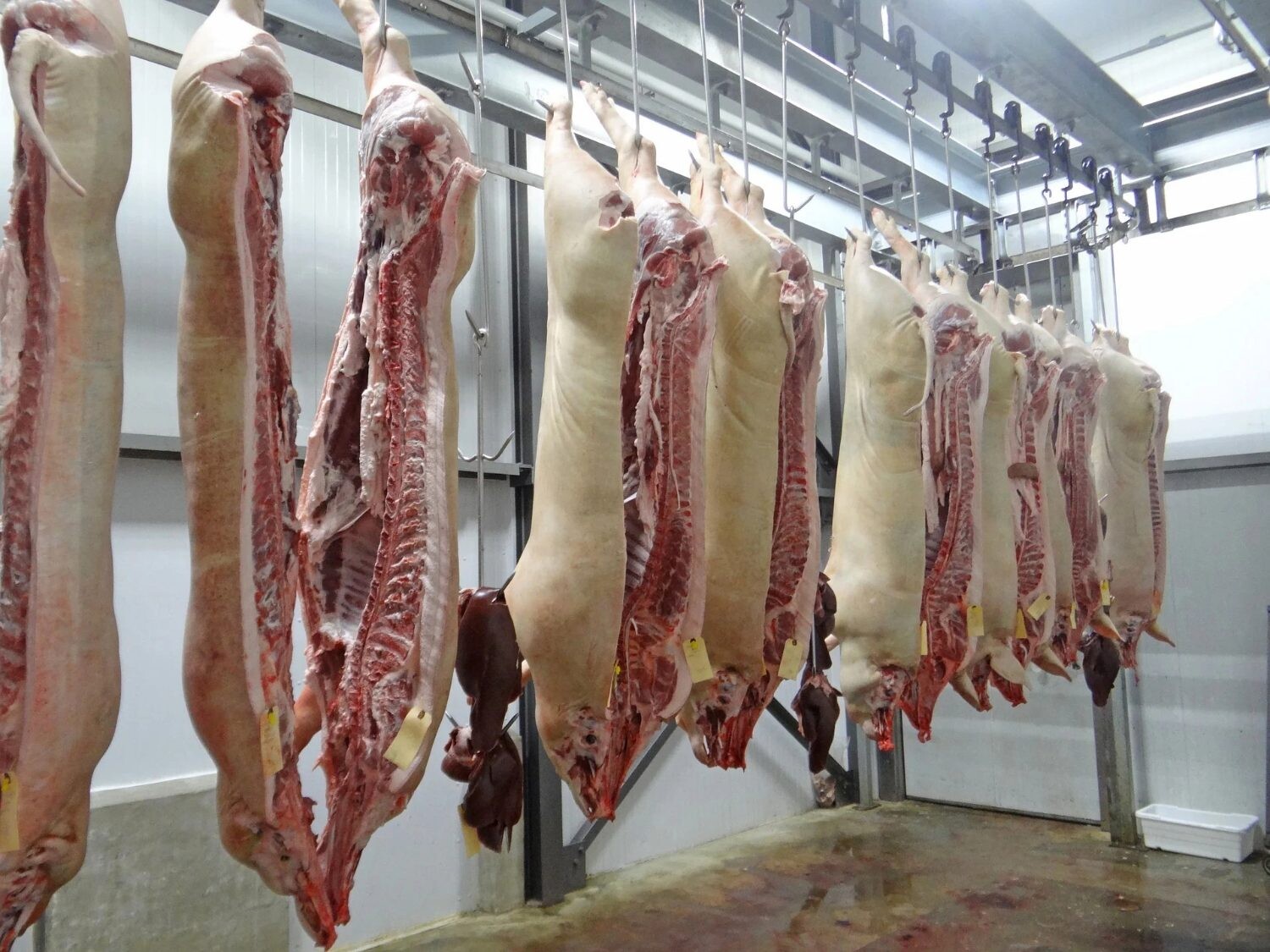 Tarifas e retaliação definirão mercado da carne suína, diz analista