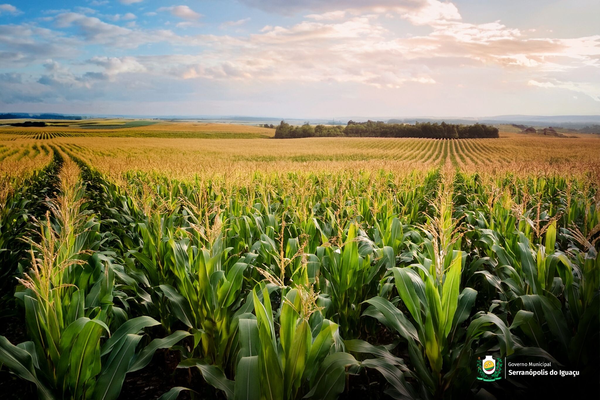 Governo Municipal abre chamada pública para compra de alimentos da agricultura familiar