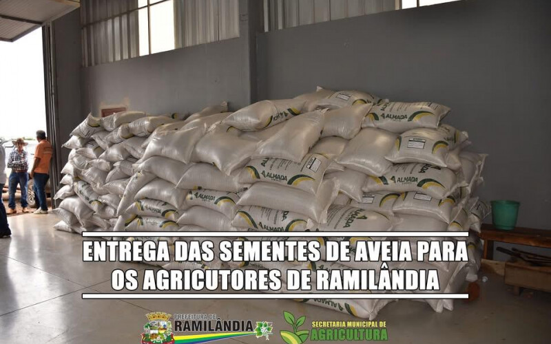 DISTRIBUIÇÃO DAS SEMENTES DE AVEIA PARA OS AGRICULTORES