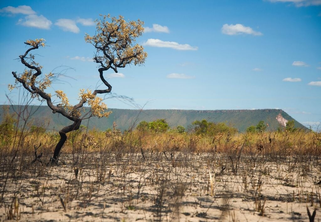 Amplitude térmica aumenta no Brasil e há alertas de umidade relativa baixa; confira as regiões de risco