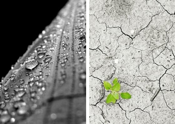 Previsão do tempo para hoje se divide entre chuva forte e tempo seco; confira