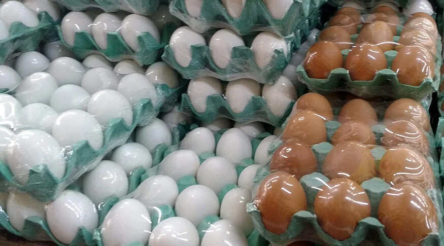 Ovos: exportação brasileira dispara em fevereiro; EUA compram 93% a mais